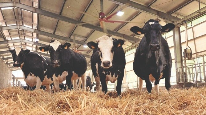 b72276a4 a499 46c0 960b dec662d0f044