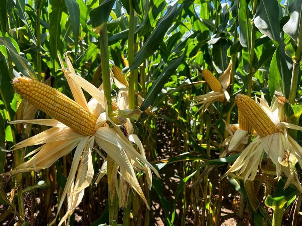 e127b3f6 0ff6 4a5f a8d3 6ba7c3384ada